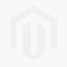 Industrielle Putzmaschine AK10 PRO GOLD- 20L PLUS